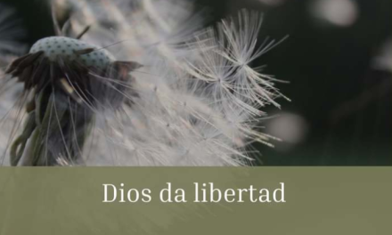 TANTO AMÓ